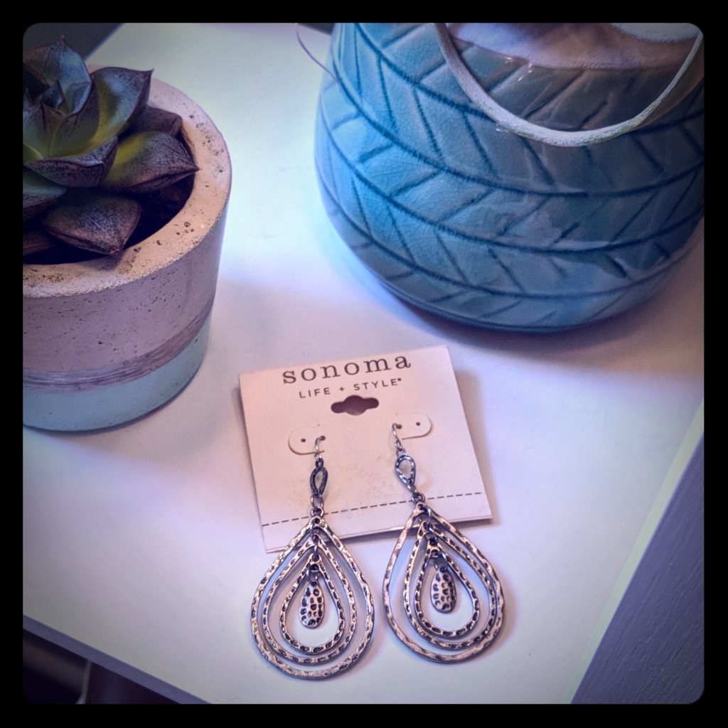 Sonoma Hammered Silver Earrings 5$